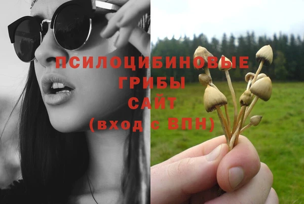 кокс Магадан