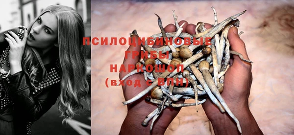 ешки Волгодонск